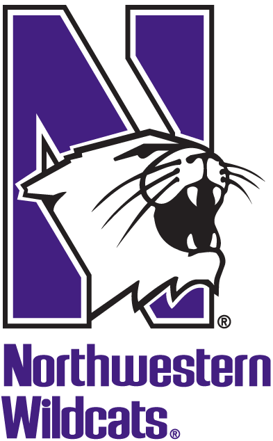 Northwestern Wildcats 1981-Pres Alternate Logo v2 diy DTF decal sticker